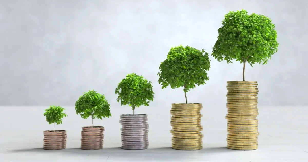 Stacks of coins topped with trees that grow taller from left to right, representing nonprofit funds managed with care